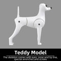Professional pet grooming fake dog model practice dog standard skeleton model dog pet simulator model