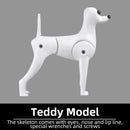Professional pet grooming fake dog model practice dog standard skeleton model dog pet simulator model