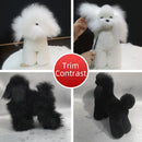 Professional pet grooming fake dog model practice dog standard skeleton model dog pet simulator model