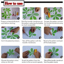 Welcome Wedding Mariage Vinyl Decals