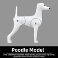 Professional pet grooming fake dog model practice dog standard skeleton model dog pet simulator model