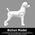 Professional pet grooming fake dog model practice dog standard skeleton model dog pet simulator model