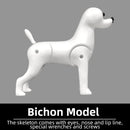 Professional pet grooming fake dog model practice dog standard skeleton model dog pet simulator model