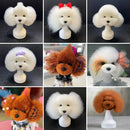 Professional pet grooming fake dog model practice dog standard skeleton model dog pet simulator model