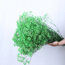 Dried baby's breath flower bouquet, gypsophila branches for arch decoration