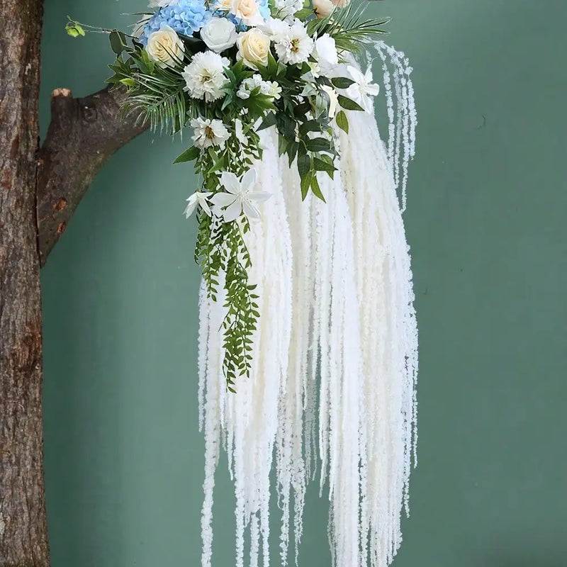 Dried amaranth flowers, elegant, white and green, preserved