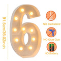 Giant LED Lighted Birthday Number Figure for Decoration