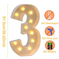 Giant LED Lighted Birthday Number Figure for Decoration