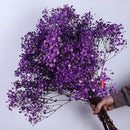 Dried baby's breath flower bouquet, gypsophila branches for arch decoration