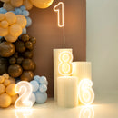 Neon Number Sign for Birthday, Acrylic 0-9 Lights with Switch for Wedding, Party