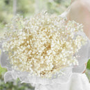 Dried baby's breath flower bouquet, gypsophila branches for arch decoration