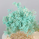 Dried baby's breath flower bouquet, gypsophila branches for arch decoration