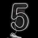 Neon Sign with Numbers for Birthday, Acrylic Lights
