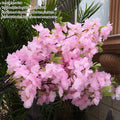Wedding arch decoration with artificial silk cherry blossom branches
