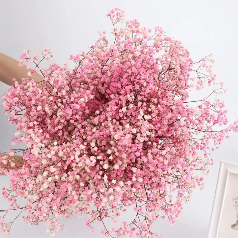 Dried baby's breath flower bouquet, gypsophila branches for arch decoration