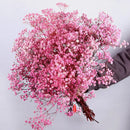 Dried baby's breath flower bouquet, gypsophila branches for arch decoration