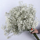 Dried baby's breath flower bouquet, gypsophila branches for arch decoration