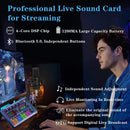F998/V8S Sound Card Microphone Sound Mixer Live Sound Card Board Audio Mixing Console Amplifier Live Broadcast Podcast Condenser