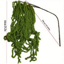 Elegant, white and green dried amaranth flowers