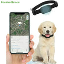 Find My Pet Positioning Collar Waterproof Dog Gps Animal Tracking Movement Alert Anti Lost Tracker Cats Remote Global Locator