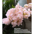 Wedding arch decoration with artificial silk cherry blossom branches