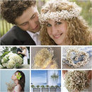 Dried baby's breath flower bouquet, gypsophila branches for arch decoration