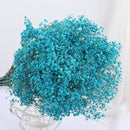 Dried baby's breath flower bouquet, gypsophila branches for arch decoration
