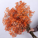 Dried baby's breath flower bouquet, gypsophila branches for arch decoration