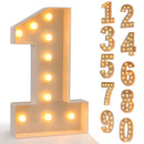Giant LED Light Up Birthday Number Figure for 1st Birthday, Anniversary, Wedding,