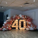 Giant LED Lighted Birthday Number Figure for Decoration