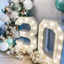 Giant LED Lighted Birthday Number Figure for Decoration
