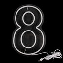 Neon Sign with Numbers for Birthday, Acrylic Lights