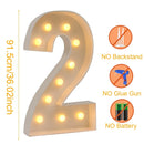 Giant LED Lighted Birthday Number Figure for Decoration