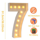 Giant LED Lighted Birthday Number Figure for Decoration