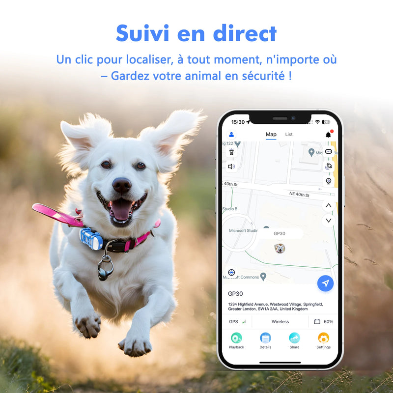 ‌4G Dog Cat GPS Tracker for Pets - Waterproof Smart Locator with App, Live Tracking & Light/Sound Search, Free Trial Included