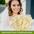 Dried baby's breath flower bouquet, gypsophila branches for arch decoration