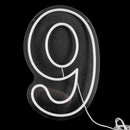 Neon Number Sign for Birthday, Acrylic 0-9 Lights with Switch for Wedding, Party