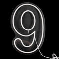 Neon Sign with Numbers for Birthday, Acrylic Lights