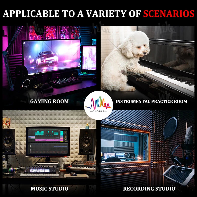 Studio Acoustic 12 Pcs, Self-adhesive Acoustic Insulation Wall Panels Foam Padding, Musical Recording Studio Home Decoration
