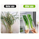 1/2/4Pcs Refrigerator Storage Boxes With Lid Plastic Fresh Keeping Box Kitchen Scallions Cilantro Eggs Noodles Sealed Container - BUY ABROAD NOW