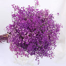 Dried baby's breath flower bouquet, gypsophila branches for arch decoration