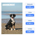 ‌4G Dog Cat GPS Tracker for Pets - Waterproof Smart Locator with App, Live Tracking & Light/Sound Search, Free Trial Included