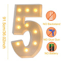 Giant LED Lighted Birthday Number Figure for Decoration