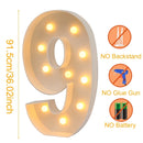 Giant LED Lighted Birthday Number Figure for Decoration