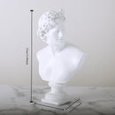 European David Head Figurine Greek Mythology Venus  Resin Statue Home Figures Sculpture Bookshelf Decorations Art Sketch Prop