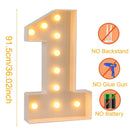 Giant LED Lighted Birthday Number Figure for Decoration