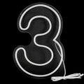 Neon Sign with Numbers for Birthday, Acrylic Lights