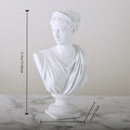European David Head Figurine Greek Mythology Venus  Resin Statue Home Figures Sculpture Bookshelf Decorations Art Sketch Prop
