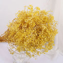 Dried baby's breath flower bouquet, gypsophila branches for arch decoration