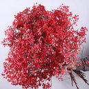 Dried baby's breath flower bouquet, gypsophila branches for arch decoration